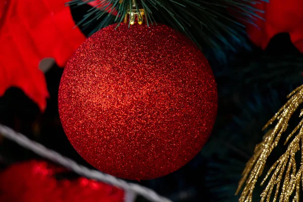 Kerstboom in een park in de stad Dnjepr — Stockfoto