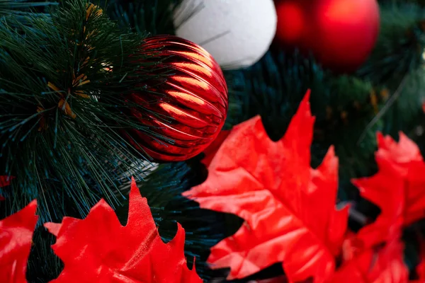 Kerstboom in een park in de stad Dnjepr — Stockfoto