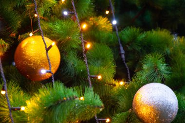Arka planda Noel ağacı var