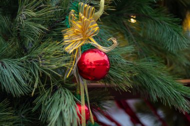 Arka planda Noel ağacı var