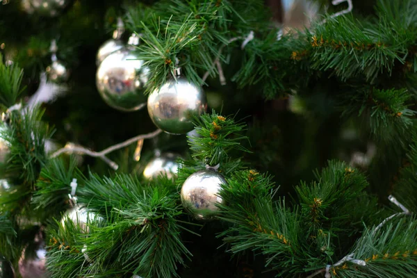 裏方としてのクリスマスツリー — ストック写真