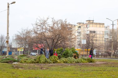 Dnipro, Ukrayna - 31 Aralık 2019. Yılbaşından önce sokakta Noel ağacı satışı.