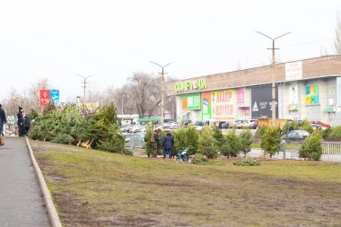 Dnipro, Ukrayna - 31 Aralık 2019. Yılbaşından önce sokakta Noel ağacı satışı.