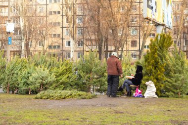Dnipro, Ukrayna - 31 Aralık 2019. Yılbaşından önce sokakta Noel ağacı satışı.