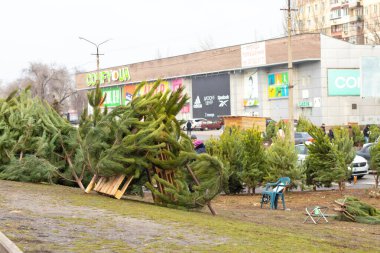 Dnipro, Ukrayna - 31 Aralık 2019. Yılbaşından önce sokakta Noel ağacı satışı.