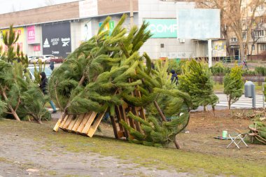 Dnipro, Ukrayna - 31 Aralık 2019. Yılbaşından önce sokakta Noel ağacı satışı.