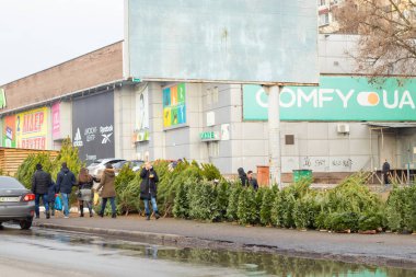 Dnipro, Ukrayna - 31 Aralık 2019. Yılbaşından önce sokakta Noel ağacı satışı.