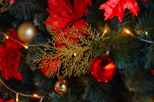 Arbre de Noël dans la rue comme fond — Photo