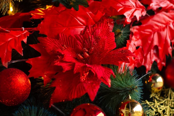 Kerstboom op straat als achtergrond — Stockfoto