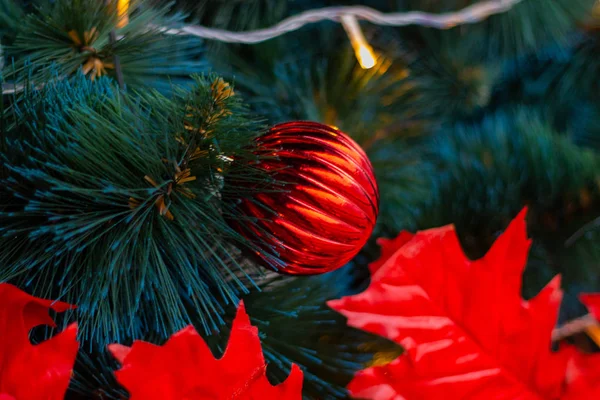Kerstboom op straat als achtergrond — Stockfoto