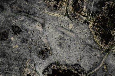 Arkaplan olarak koyu gri mermer duvar