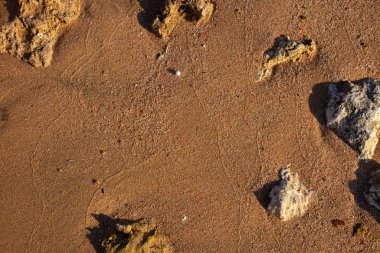 Kızıl denizdeki ıslak kumların arkaplanı