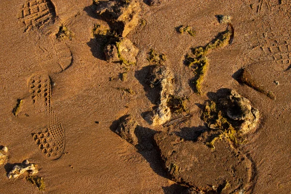 Fundo de areia molhada no mar vermelho — Fotografia de Stock