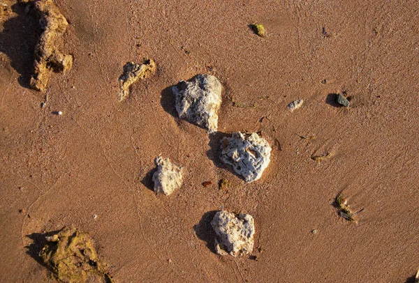 红海上湿沙的背景 — 图库照片
