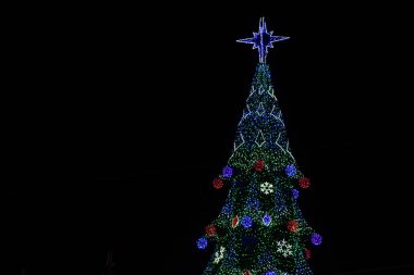 Dinyeper şehrindeki bir parkta Noel ağacı