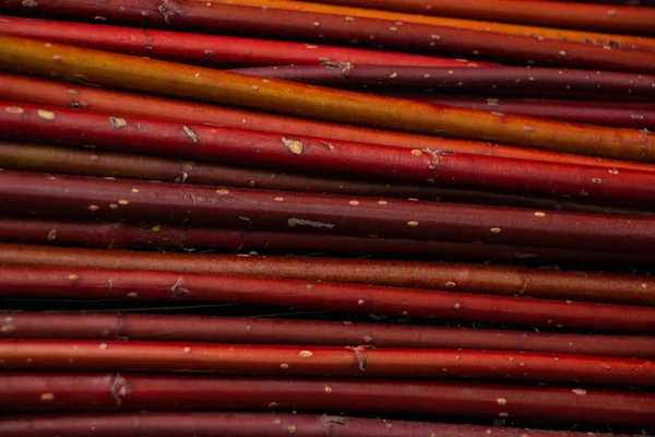 Background of red thin twigs close up Stock Picture