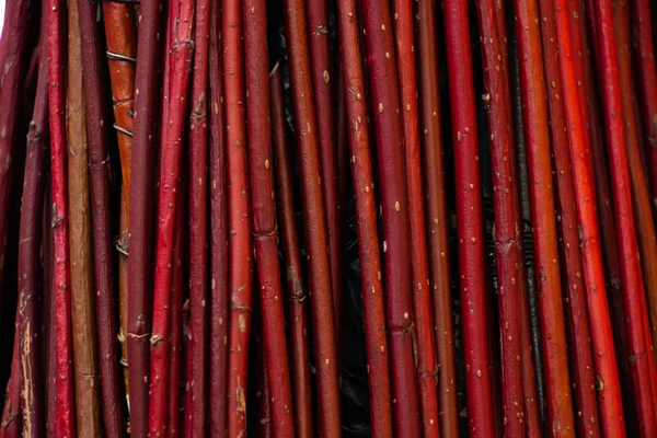 Background of red thin twigs close up Stock Photo