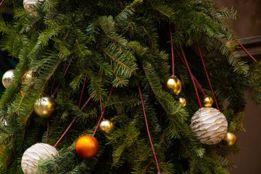 Arka planda Noel ağacı var