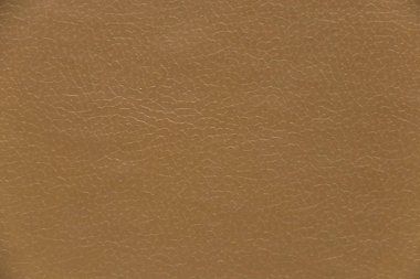 düz bej renkli kitap palet ışığı arkaplanı