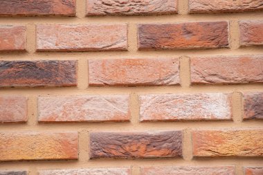 Arka plan olarak bir evin taş duvarı