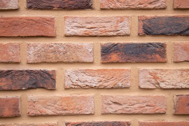 Arka plan olarak bir evin taş duvarı