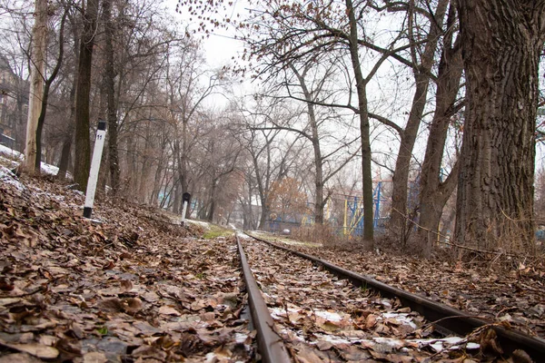 Старая железная дорога в парки осенью в городах Днепра в Украине — стоковое фото