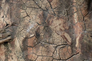 Arka plan olarak eski çatlak duvarın dokusu