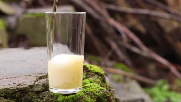 Cerveza Ligera Vierte Una Copa Vidrio Sobre Una Piedra Con — Vídeos de Stock