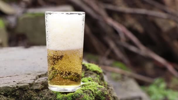 bière légère dans un gobelet de verre sur une pierre avec mousse dans la forêt un jour d'automne 
