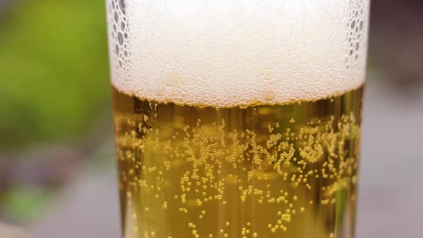 Cerveja Leve Copo Vidro Close — Vídeo de Stock