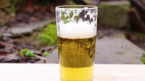 Vue Haut Bas Sur Verre Plein Bière Légère Dans Gobelet — Video