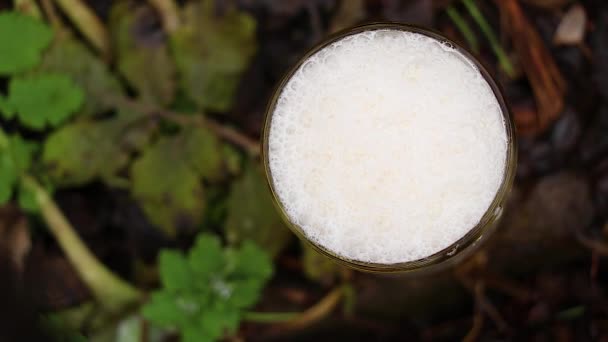 Uitzicht Van Boven Naar Beneden Een Vol Glas Licht Bier — Stockvideo