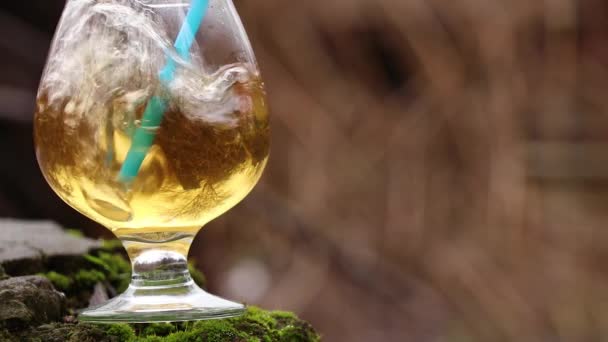 Man Blows Air Straw Glass Carbonated Drink Stands Stone Logs — 비디오