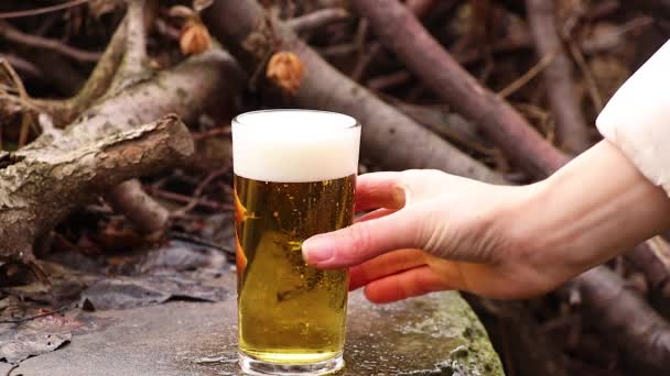 Verser Verre Bière Sur Une Pierre Dans Forêt — Video