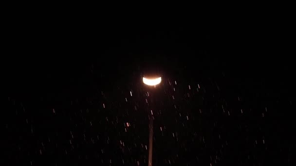 Nocy Pada Śnieg Pobliżu Latarni — Wideo stockowe