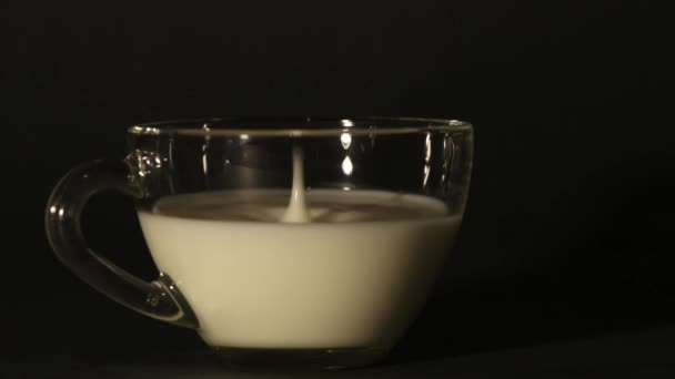 Milchtropfen Fallen Einer Tasse Auf Einem Isolierten Dunklen Hintergrund — Stockvideo