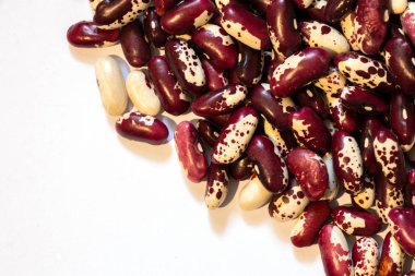 İzole bir arkaplanda fasulye kırlangıcı.