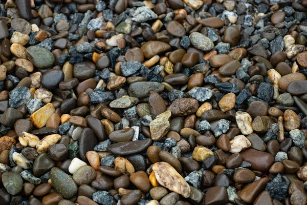 Pebble stone background close up — Stock Photo, Image
