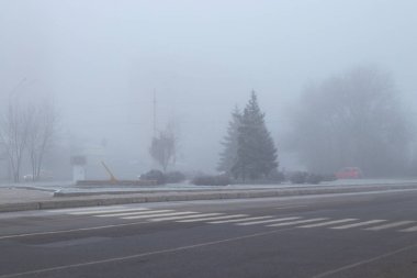 Noel ağaçlarıyla sisli yollarda Dinyeper şehrindeki çiçek yataklarında kışın