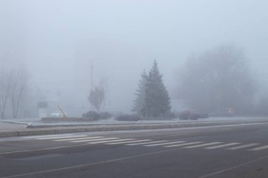 Noel ağaçlarıyla sisli yollarda Dinyeper şehrindeki çiçek yataklarında kışın