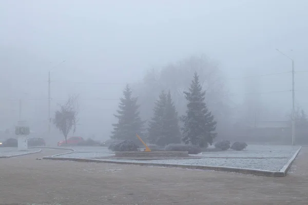 Дорога в тумане с елками к цветочным клумбам в городе Днепр зимой — стоковое фото