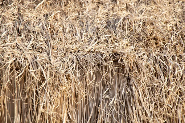 Trockenes Stroh auf dem Dach aus nächster Nähe — Stockfoto