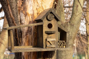 bird tree house in the park on a sunny day