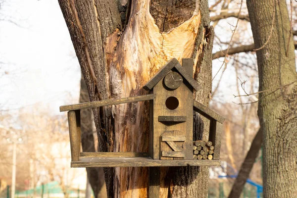 Casa de árvore de pássaro no parque em um dia ensolarado — Fotografia de Stock