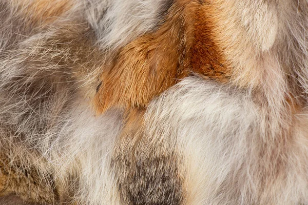 Real fur close up as background — Stok fotoğraf