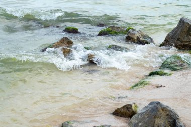 Sabahın köründe deniz kıyısında Azov Denizi