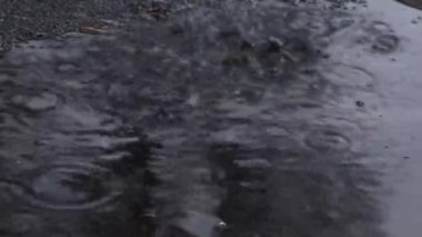 Öğlen vakti yağmur damlıyor. Sokakta.