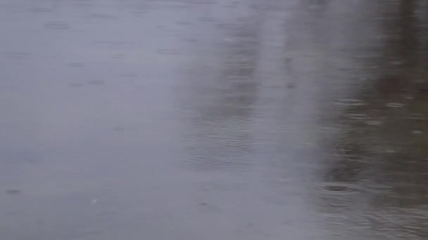 Chuva Pingando Sobre Água Tarde Rua — Vídeo de Stock