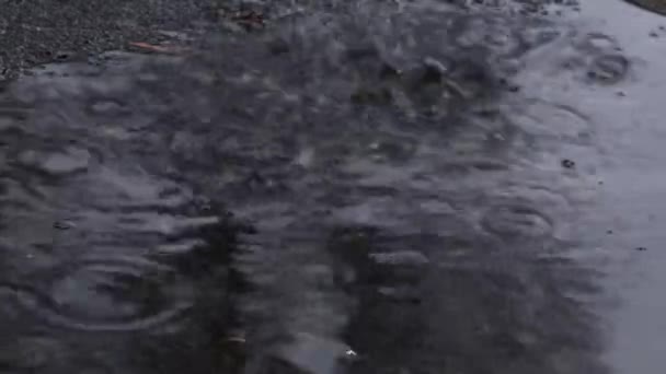 Pioggia Che Gocciola Sull Acqua Nel Pomeriggio Strada — Video Stock