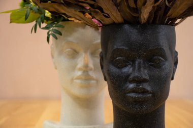 Bir vazo dolusu kurumuş egzotik çiçekle insan yüzü şeklinde.